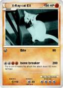 X-Ray cat EX