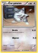 Chat guitariste