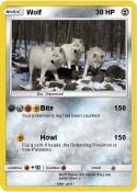 Wolf