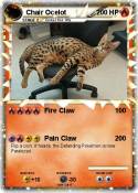 Chair Ocelot