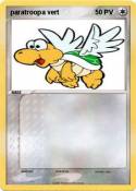 paratroopa vert