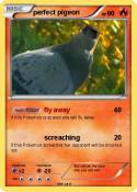 perfect pigeon