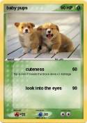 baby pups