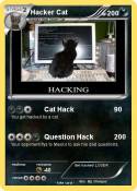 Hacker Cat