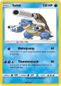 Turtok
