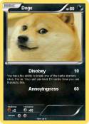 Doge