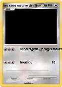 les sims meµrre