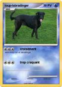 loup-labradinger