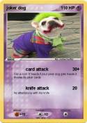 joker dog
