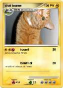 chat tourne
