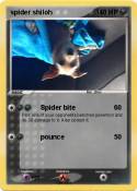 spider shiloh