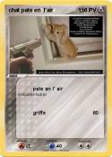 chat pate en