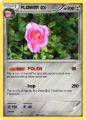 FLOWER EX