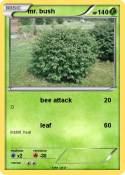 mr. bush