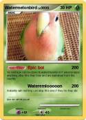 Watermelonbird