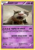 ANGRY CAT