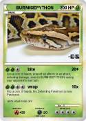 BURMISEPYTHON