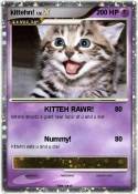 kittehn!
