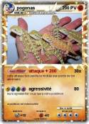 pogonas
