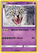 Obscur cat