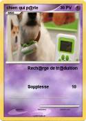 chien qui p@rle