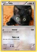 kitty