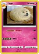 Doge