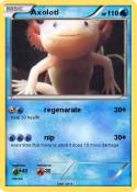 Axolotl
