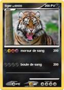 tiger