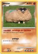 mouton