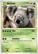 the koala
