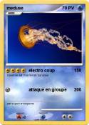 meduse