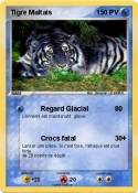 Tigre Maltais