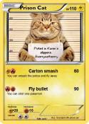 Prison Cat