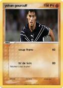 yohan gourcuff