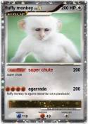 fluffy monkey