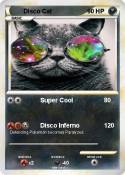 Disco Cat