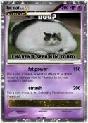 fat cat