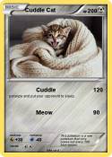 Cuddle Cat