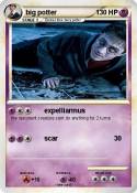 big potter