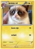grumpy cat