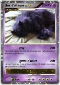 chat d'attaque