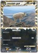 mountain goat