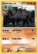 camel time