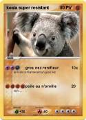 koala super res