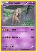 FIRE TIGGER