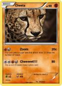 Cheeta