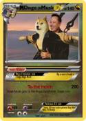 Doge xMusk