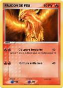 FAUCON DE FEU