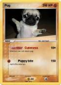 Pug